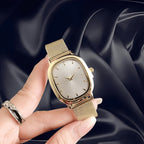 Cross -border watch Simplicity Web Watch Watch Women's Korean Student Watch Water Ghost Founded Woman Watch WRISTWATCH